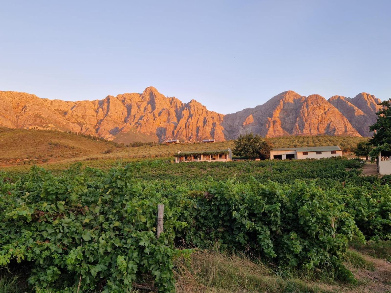 Vredehoek Guest Farm Breërivier Buitenkant foto